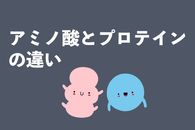 アミノ酸とプロテインの違いは？効果と摂取方法を説明