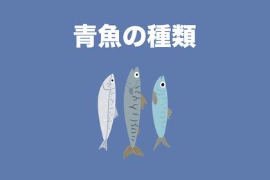 青魚の種類は？青魚の栄養素とメリットをご紹介