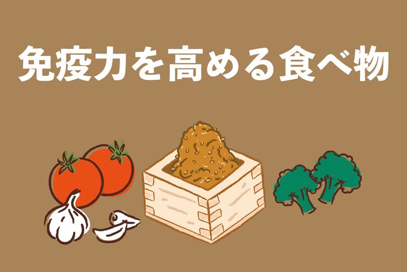 簡単に免疫力を高める食べものとは？生活習慣のポイントも含め管理栄養士が解説！