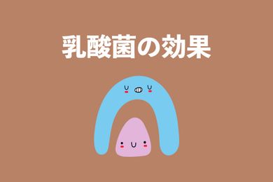 乳酸菌の成分情報：腸に良くて効果的な摂取方法【薬剤師が解説】