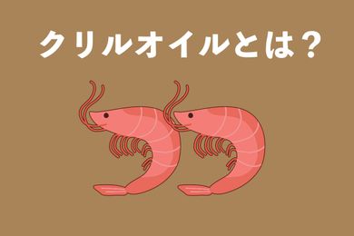 クリルオイルとは？フィっすオイルと違い効果？医師が解説！