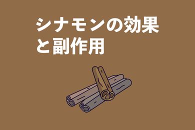 シナモンとは？体質を整えたい方必見！シナモンの5つの効果を徹底解説