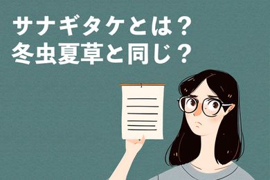 サナギタケとは？冬虫夏草と同じ？サナギタケの効能と副作用について解説