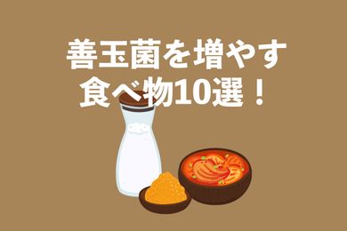腸活食材！善玉菌を増やす食べ物10選ランキング！腸内環境を整えて健康維持に役立てよう