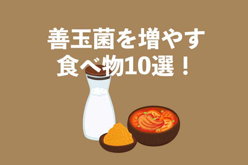 腸活食材！善玉菌を増やす食べ物10選ランキング！腸内環境を整えて健康維持に役立てよう