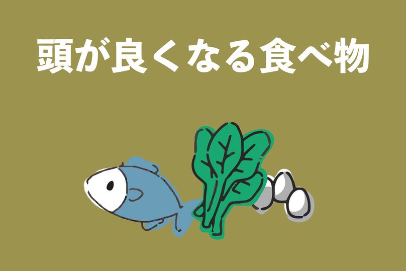 頭が良くなる食べ物とは？脳を活性化する食事について管理栄養士が徹底解説！