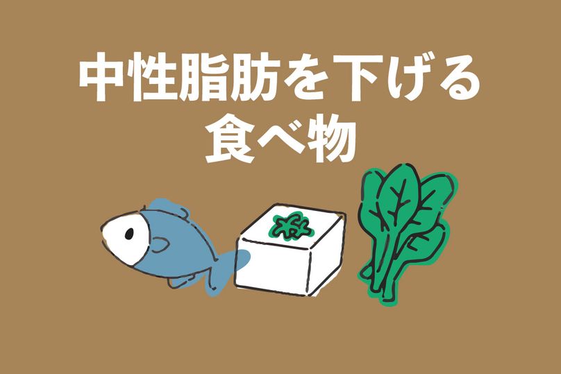 中性脂肪を下げる食べ物5選！効果的に食生活のコツもご紹介