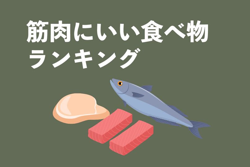 筋肉を育てるための食事は？筋肉にいい食べ物ランキングを紹介！良いたんぱく質を摂ろう