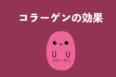 コラーゲン成分情報：美容、関節、皮膚に重要な栄養素