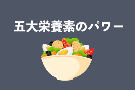 五大栄養素とは？働きや目安量・管理栄養士考案の1日3食の食事例も紹介