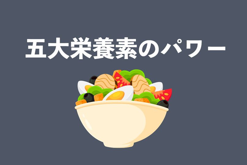 五大栄養素とは？働きや目安量・管理栄養士考案の1日3食の食事例も紹介