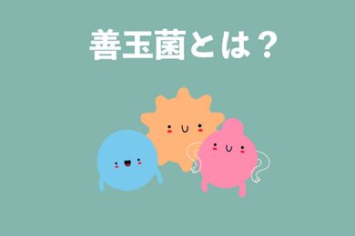 善玉菌とは？理想な善玉菌のバランスと腸内フローラのセルフチェック【管理栄養士が解説】