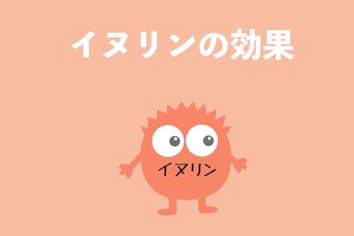 イヌリンの健康作用：腸内環境や血糖値、ダイエット