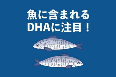 DHAが多い魚ランキング：美味しい調理方法とレシピを紹介【管理栄養士執筆】