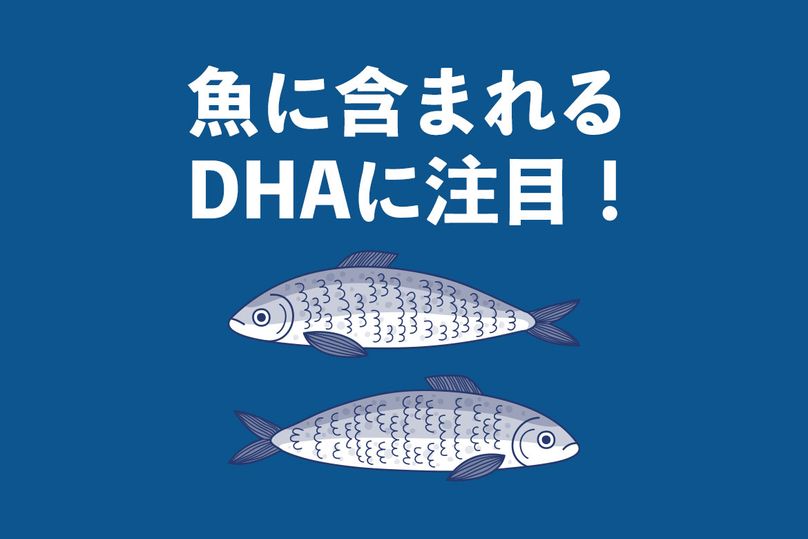 DHAが多い魚ランキング：美味しい調理方法とレシピを紹介【管理栄養士執筆】