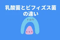 ビフィズス菌と乳酸菌の違いとは？