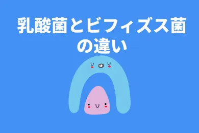 ビフィズス菌と乳酸菌の違いとは？