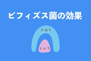 ビフィズス菌とはどんな菌？基本情報や効能、安全性までまとめて解説